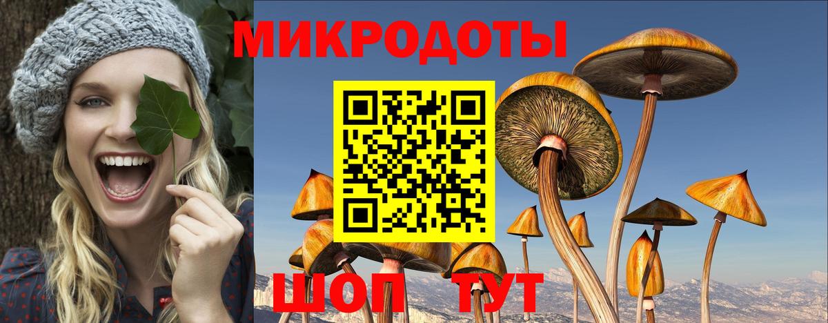 Галлюциногенные грибы мухоморы  Псилоцибиновые грибы MAGIC MUSHROOMS  Амурск  Вход с VPN 